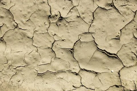 Cracked dried mud Stock Photos