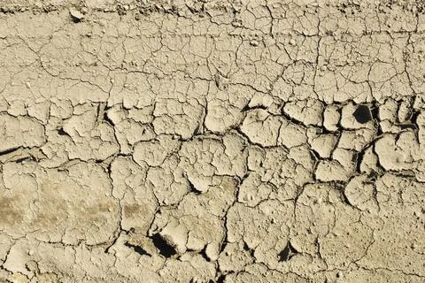 Cracked dried mud Stock Photos