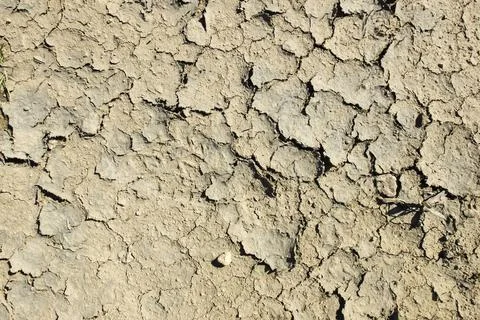 Cracked dried mud Stock Photos