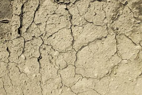 Cracked dried mud Stock Photos