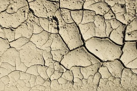 Cracked dried mud Stock Photos