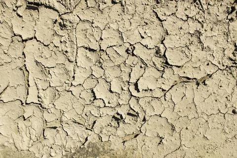 Cracked dried mud Stock Photos