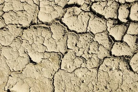 Cracked dried mud Stock Photos