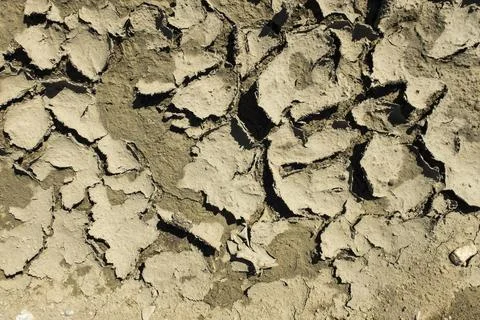 Cracked dried mud Stock Photos