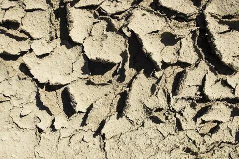 Cracked dried mud Stock Photos