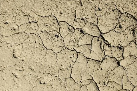 Cracked dried mud Stock Photos