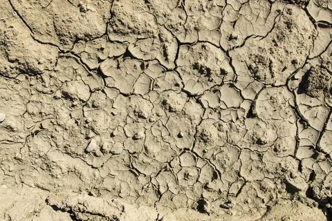 Cracked dried mud Stock Photos