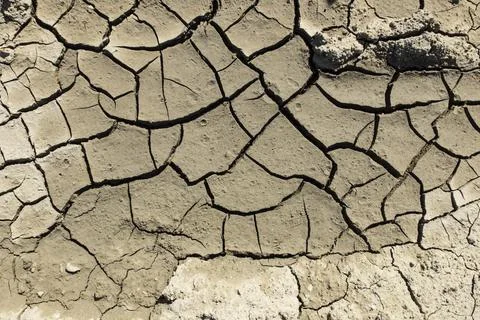 Cracked dried mud Stock Photos