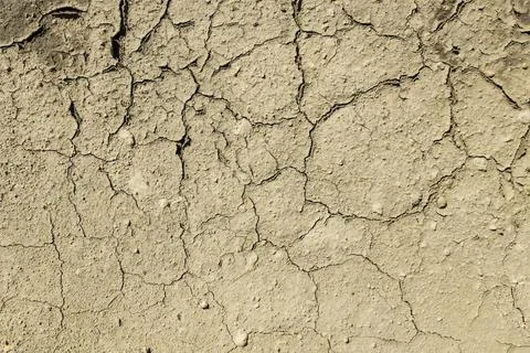 Cracked dried mud Stock Photos