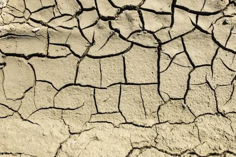 Cracked dried mud Foto stock