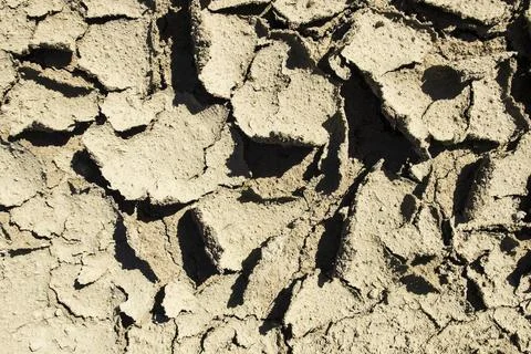 Cracked dried mud Stock Photos