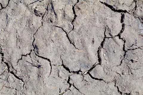 Cracked Dried Mud Texture Stock Photos