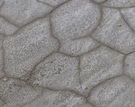 Cracked, dried mud with a thin crust of salt crystals Stock Photos