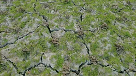 Cracked Drought Land Video stock 152575167