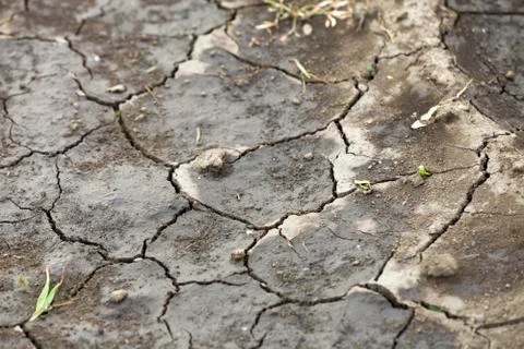 Cracked dry dirt flat surface, abstract texture, copy space background, retro 库存照片