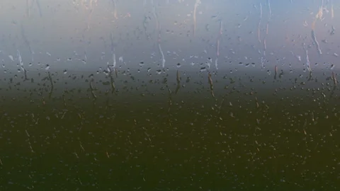Cracked Dry Earth Ground Texture Aerial 库存影片 339828033
