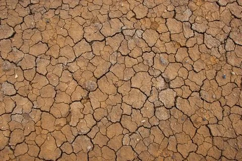 Cracked Dry Earth Surface Texture Fotos Stock