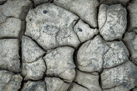 Cracked dry gray ground surface. Stock Photos