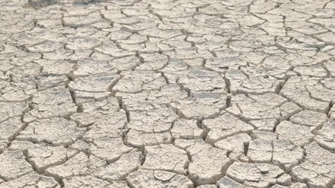 Cracked dry land, drought problems Vidéo 308731193