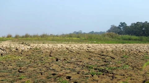 Cracked dry land with sparse vegetation on open landscape Stock-Footage 327179604