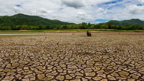 Cracked dry land without wate Stock Footage 113483436