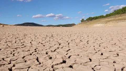 Cracked dry land without water Panning over crack of mud texture during drought Vídeos de archivo 334029862