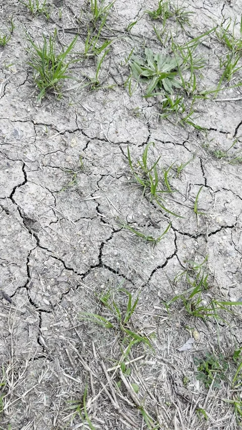 Cracked Dry Mud Ground Texture Close Up Video stock 344807479