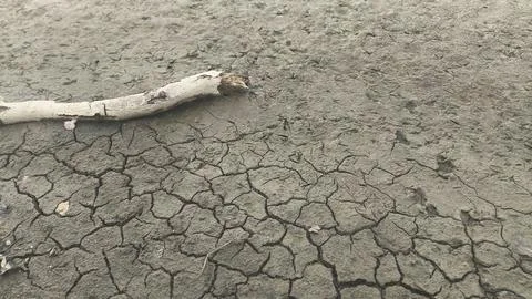 Cracked Dry Mud Soil in Severe Drought for Climate Change Concept Stockfoto's