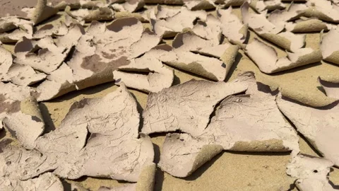 Cracked Dry Mud Texture on Desert Ground Stock Footage 320355556