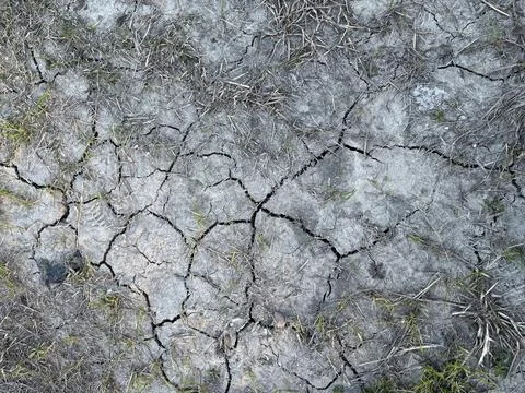 Cracked Dry Soil and Sparse Grass Drought Texture Stock Photos