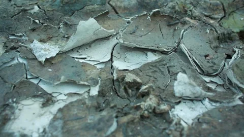 Cracked Dry Soil During Severe Drought and Water Shortage Stock Footage 341834217