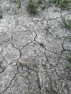 Cracked Dry Soil With Sparse Green Grass 写真素材