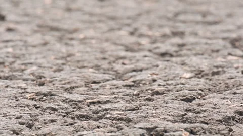 Cracked dry soil texture on agricultural field damaged by severe drought Stock Footage 344794776