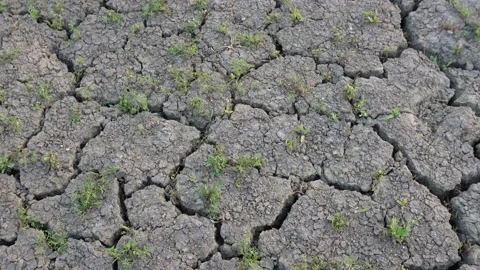 Cracked Dry Soil Texture Vidéo 333902447