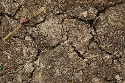 Cracked dry soil texture with plastic debris and trash pollution Stock Photos