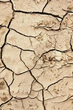 Cracked earth background Stock Photos
