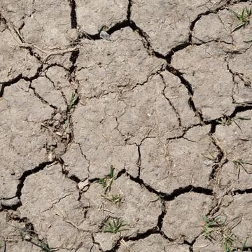 Cracked earth background Stock Photos