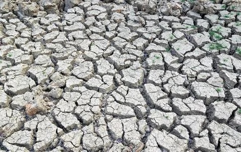 Cracked earth background texture. Stock Photos
