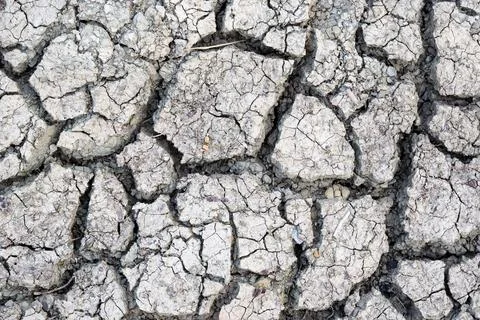 Cracked earth background texture. Stock Photos
