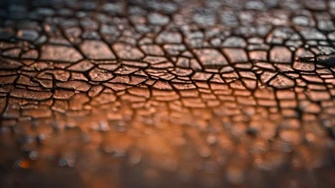 Cracked Earth Close-Up 動画素材 284742269