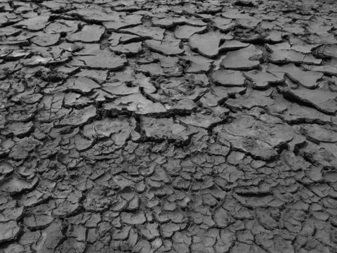 Cracked earth close up macro texture 写真素材