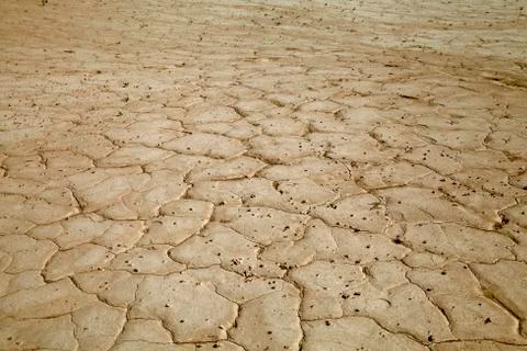 Cracked earth close-up Stock Photos