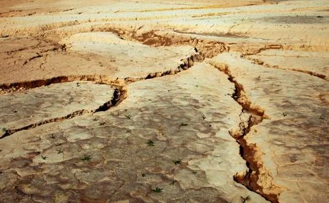 Cracked earth close-up Stock Photos