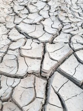 Cracked earth close up Stock Photos