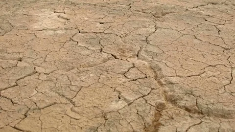 Cracked earth dry drought macro Alvord Desert Steens Mountain Near Malhuer Video stock 81610758