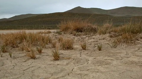 Cracked earth dry drought macro and brush 2 Alvord Desert Steens Mountain Near Stock Footage 81610941