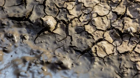 Cracked earth drying out from wet soil timelapse drought cracking earth Stock Footage 102725311