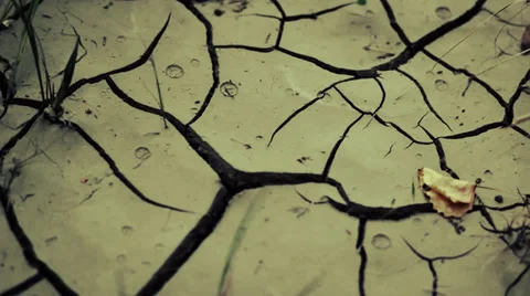 Cracked earth Stock-Footage 33722703