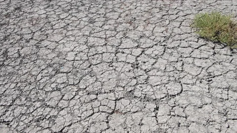 Cracked earth. Video stock 158899770