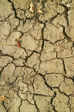 Cracked earth mudcracks representing global warming and severe drought Stock Photos